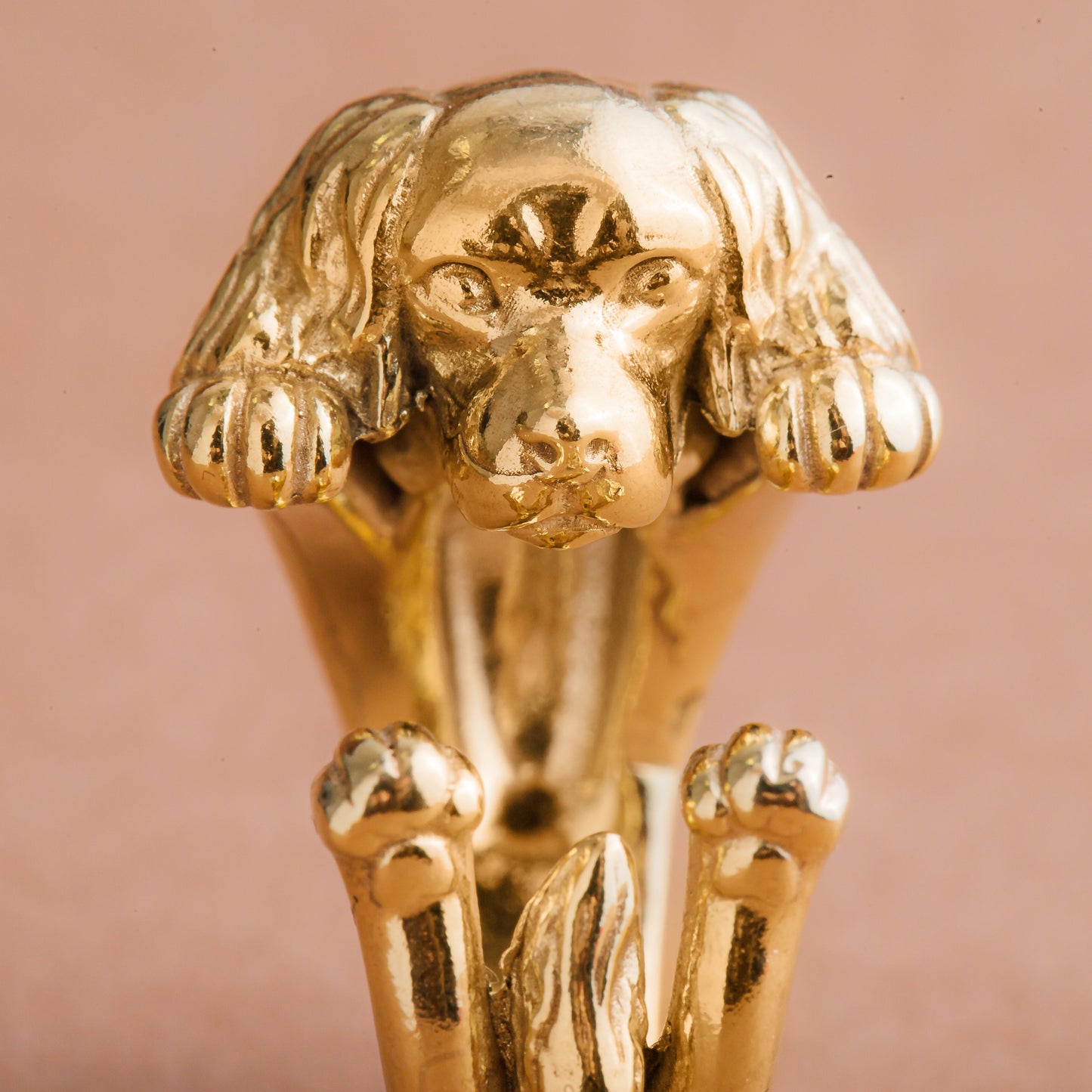 Cavalier king ring silver 925 / bronze gold 18kt hug