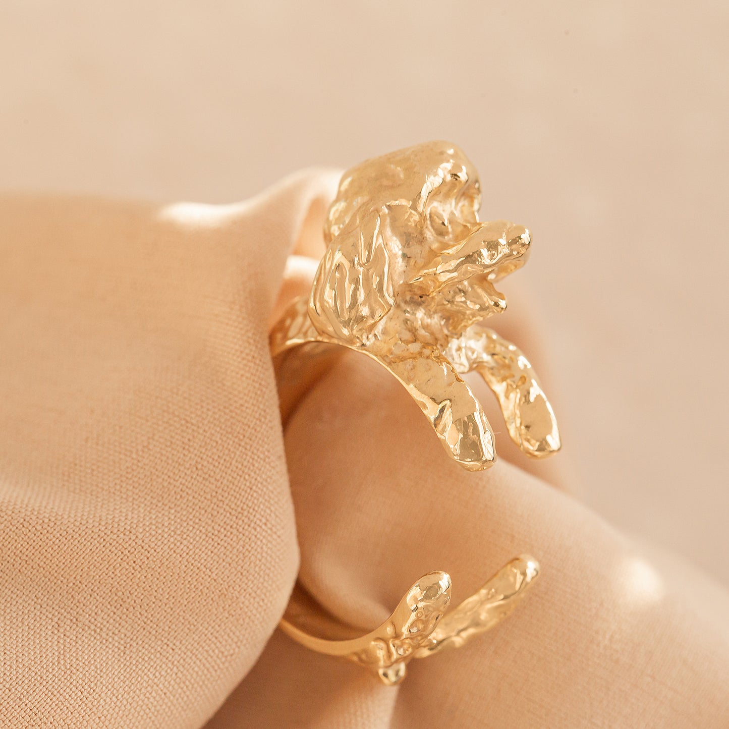 Barboncino RING silver925 / bronze 18 kt poodle